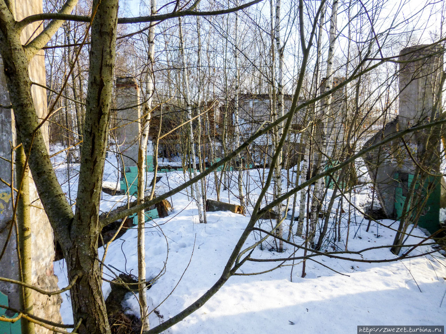 На обломках прошлого Москва и Московская область, Россия На обломках прошлого Москва и Московская область, Россия