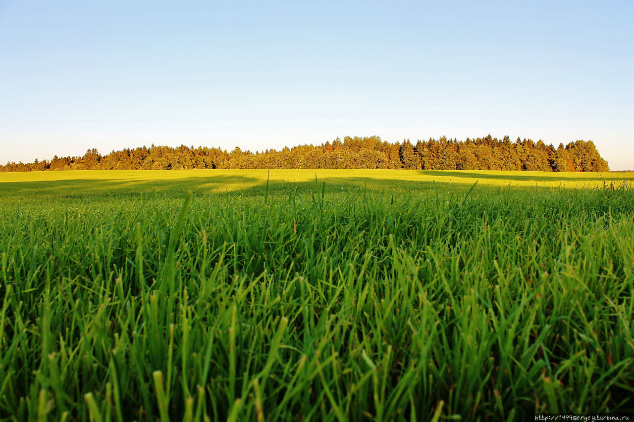 Воспоминания #3 Санкт-Петербург и Ленинградская область, Россия Воспоминания #3 Санкт-Петербург и Ленинградская область, Россия