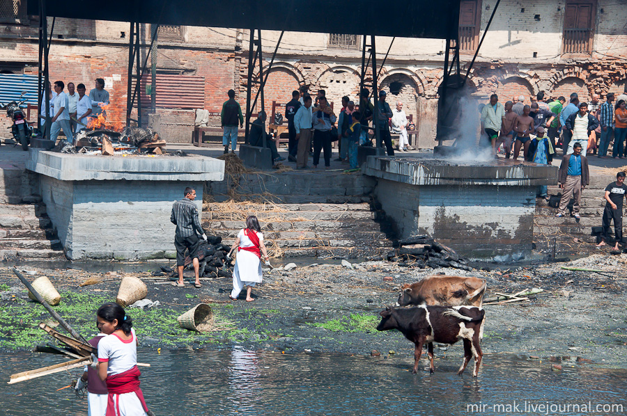Параллельно с уборкой проводились и так называемые похороны. Зрелище, прямо скажем, не из приятных, хотя для местных это обычный процесс, тем более что смерть в Индуизме означает не конец всего, а только лишь перерождение. Параллельно с уборкой проводились и так называемые похороны. Зрелище, прямо скажем, не из приятных, хотя для местных это обычный процесс, тем более что смерть в Индуизме означает не конец всего, а только лишь перерождение.
