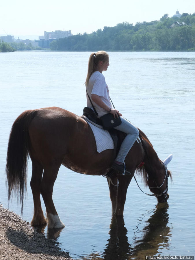 Фестиваль «Зелёный» 2014 Красноярск, Россия Фестиваль «Зелёный» 2014 Красноярск, Россия