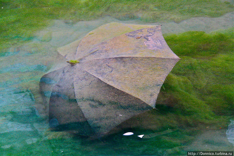 Там, где клоуны не сдохли, а зонты насквозь промокли Анси, Франция