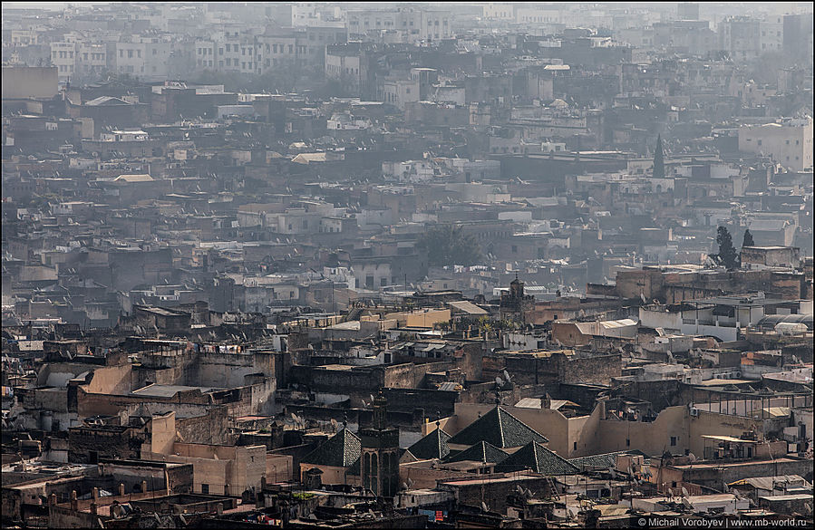 Вид на медину с окраин города Фес, Марокко