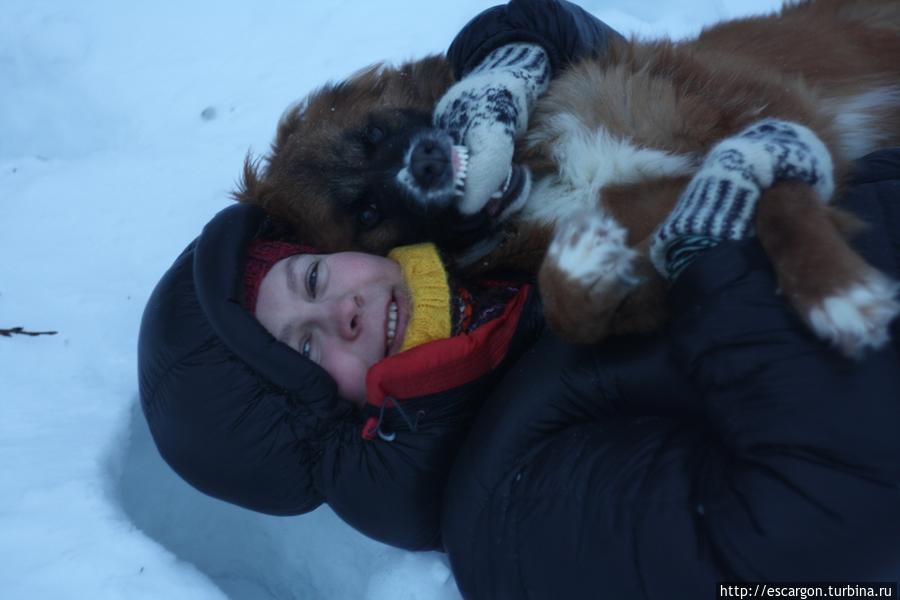 Милый глупый Чупакабра Мурманская область, Россия Милый глупый Чупакабра Мурманская область, Россия
