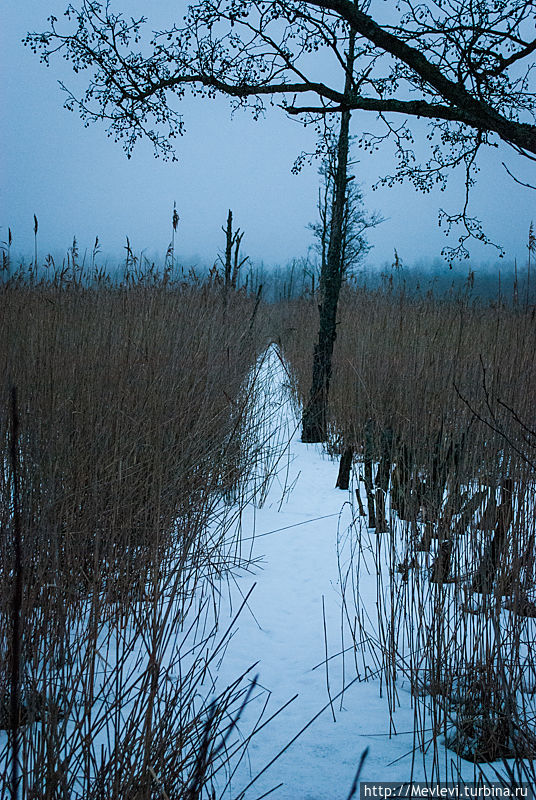 В сумерках Мангальсала. Прохладная прогулка.... Рига, Латвия