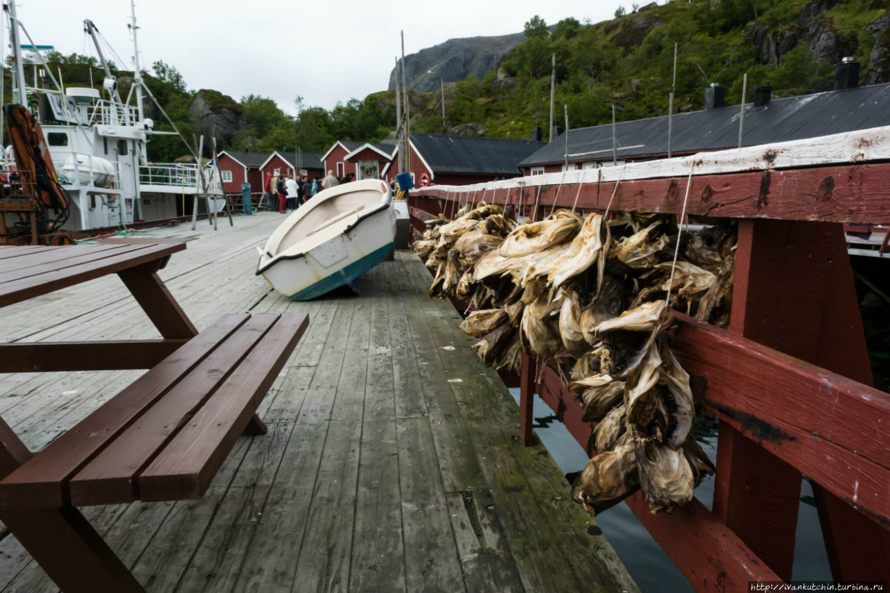 Рыбацкая жизнь Рамберг, Лофотенские острова, Норвегия