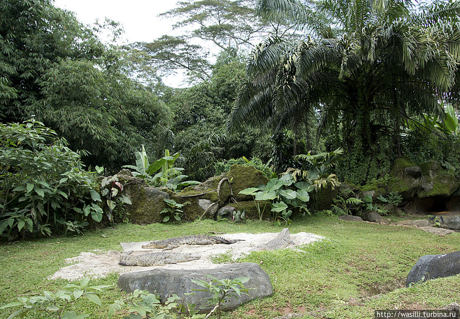 Сразу и не заметишь, за красотой природы... Сразу и не заметишь, за красотой природы...