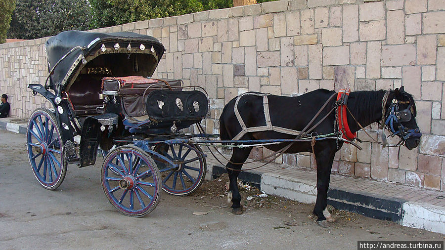 На таких каретах предлагают прокатиться туристам На таких каретах предлагают прокатиться туристам