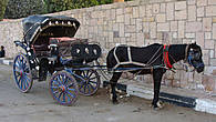 На таких каретах предлагают прокатиться туристам