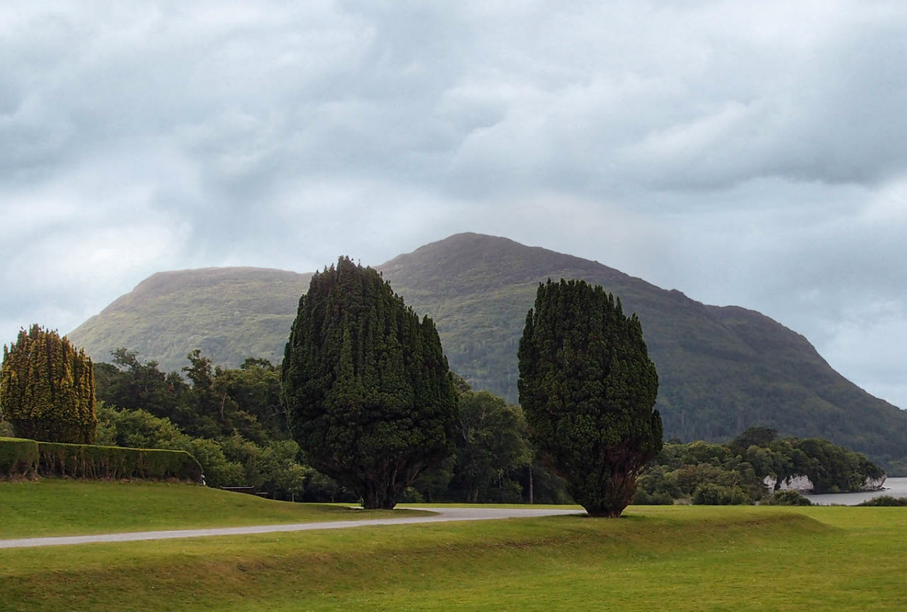 Макросс и Виктория Национальный парк Килларни, Ирландия Макросс и Виктория Национальный парк Килларни, Ирландия