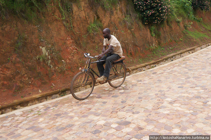 Оранжевое настроение Гиконгоро, Руанда