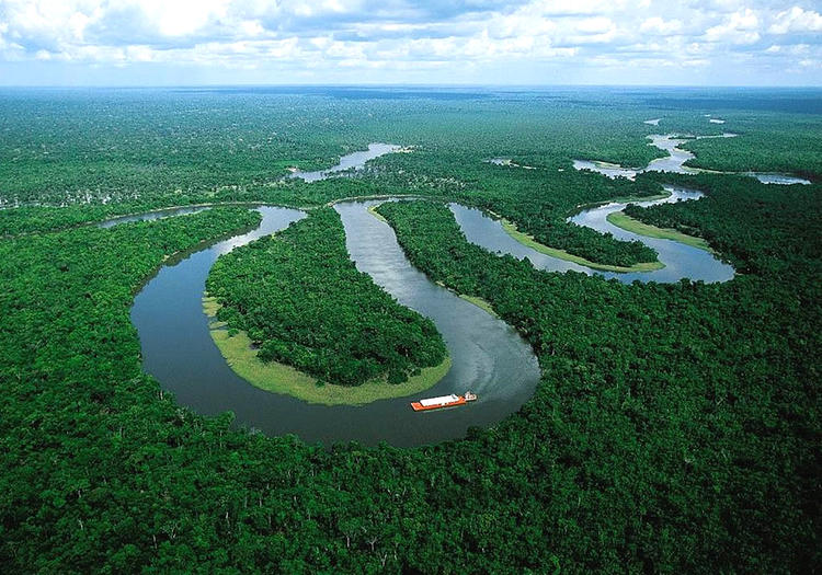 Фото из интернета Фото из интернета