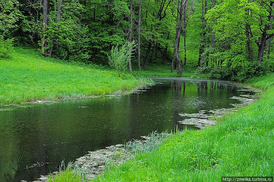 А вот и озеро на Ореховой, прямо на горе. Рядом с ним есть скамеечка, на которой мы отлично перекусили. А на дереве висит кормушка для птиц, целый коттедж. А вот и озеро на Ореховой, прямо на горе. Рядом с ним есть скамеечка, на которой мы отлично перекусили. А на дереве висит кормушка для птиц, целый коттедж.