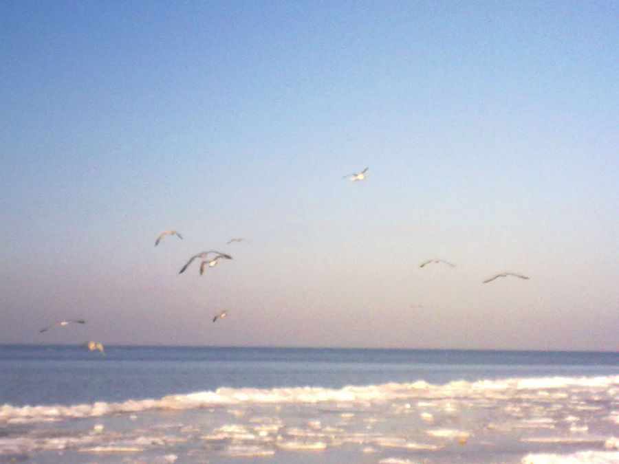 Юрмала зимой Юрмала, Латвия Юрмала зимой Юрмала, Латвия