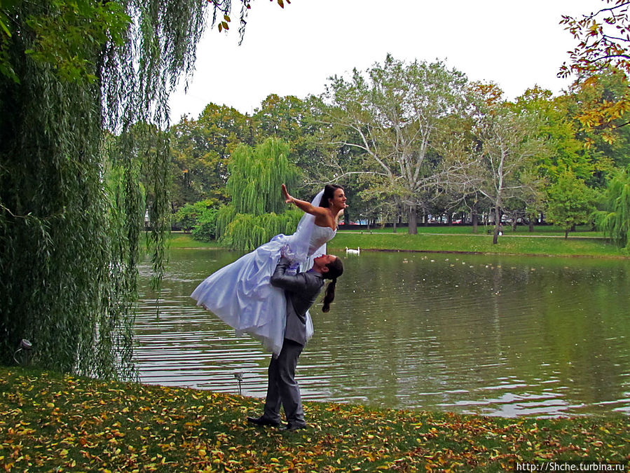 такой вот балет такой вот балет