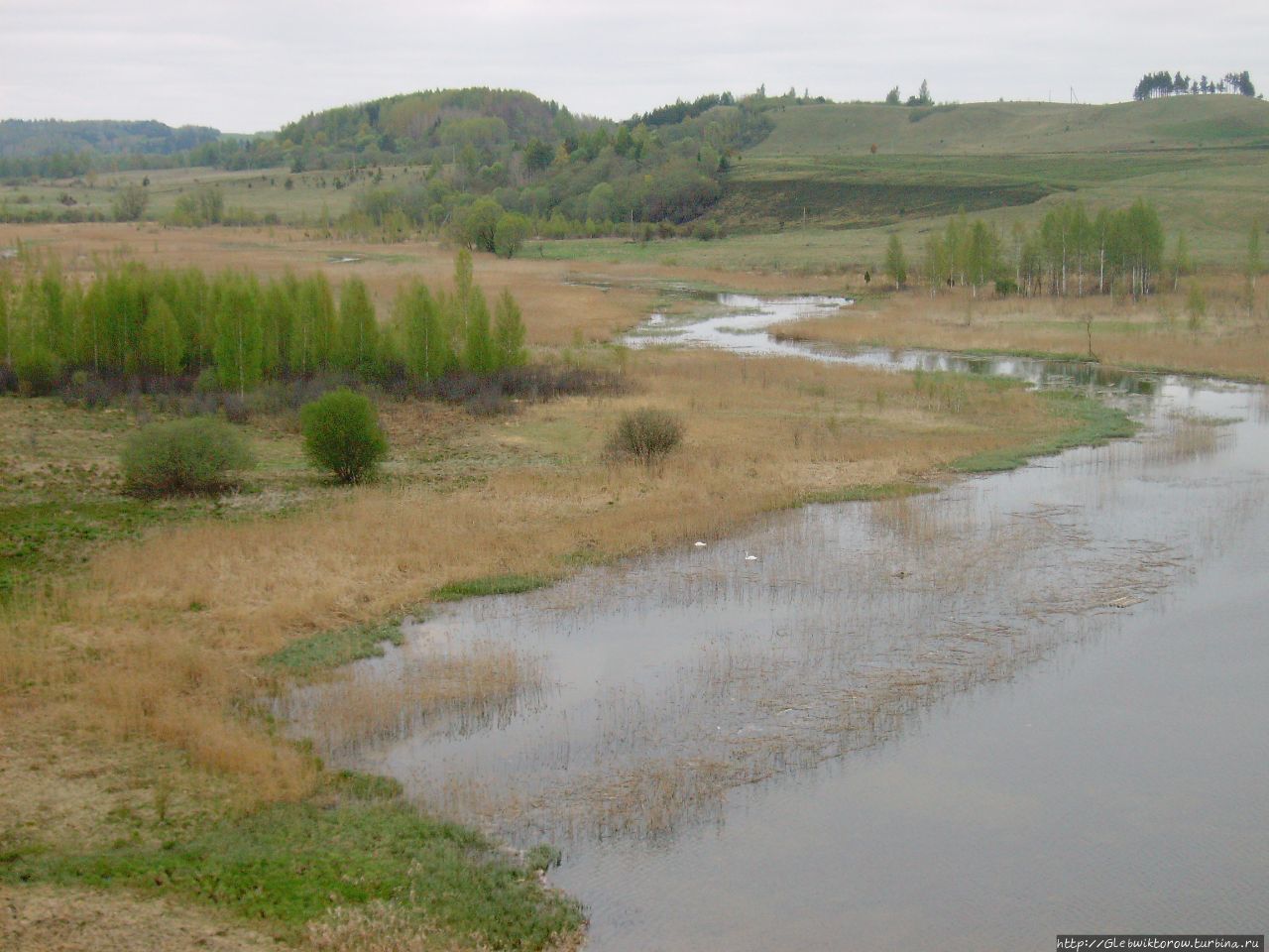 Словенские ключи Изборск, Россия