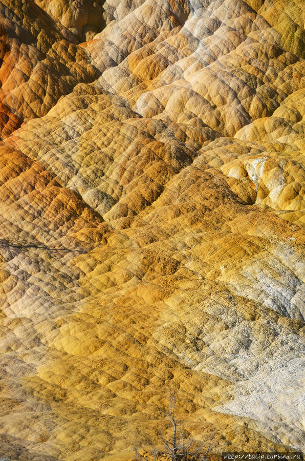 Калейдоскоп пейзажей Йеллоустоуна с акцентом Йеллоустоун Национальный Парк, CША