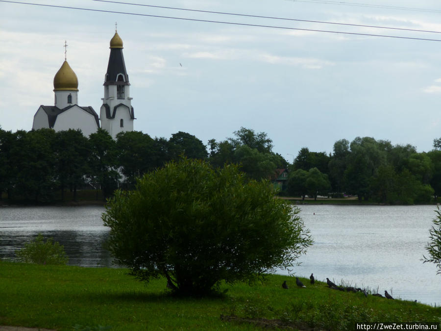 Под соснами Северной Ривьеры