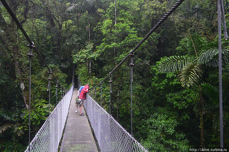 если падать... то неблизко Аренал, Коста-Рика если падать... то неблизко Аренал, Коста-Рика