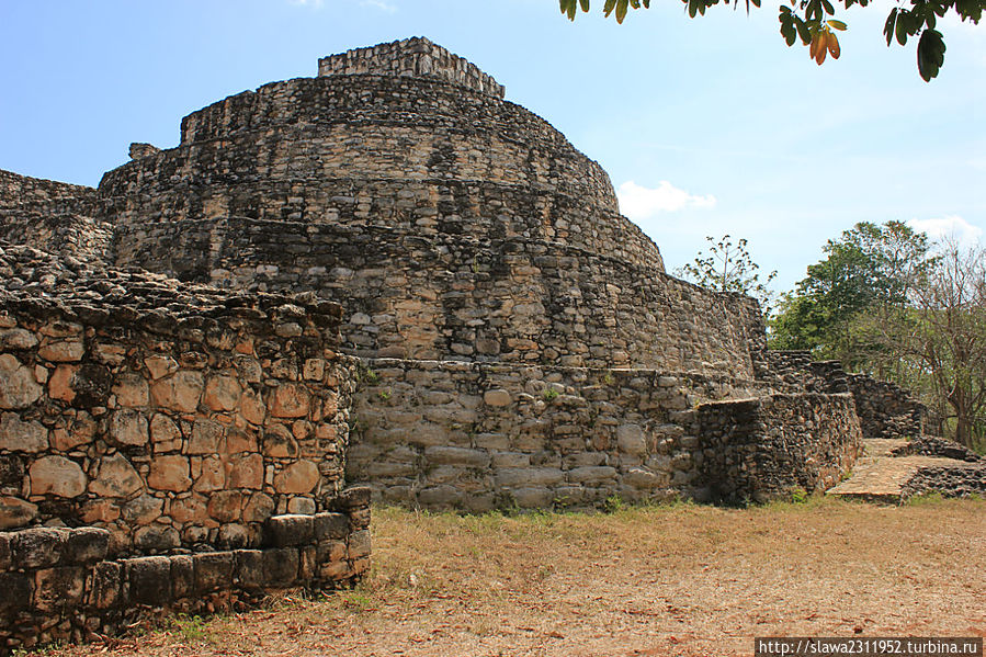 Овальный доврец Овальный доврец