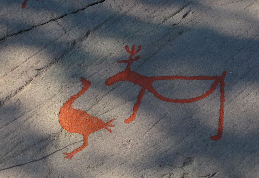 Финнмарк.  Ягоды, иван-чай и рисунки древних Альта, Норвегия
