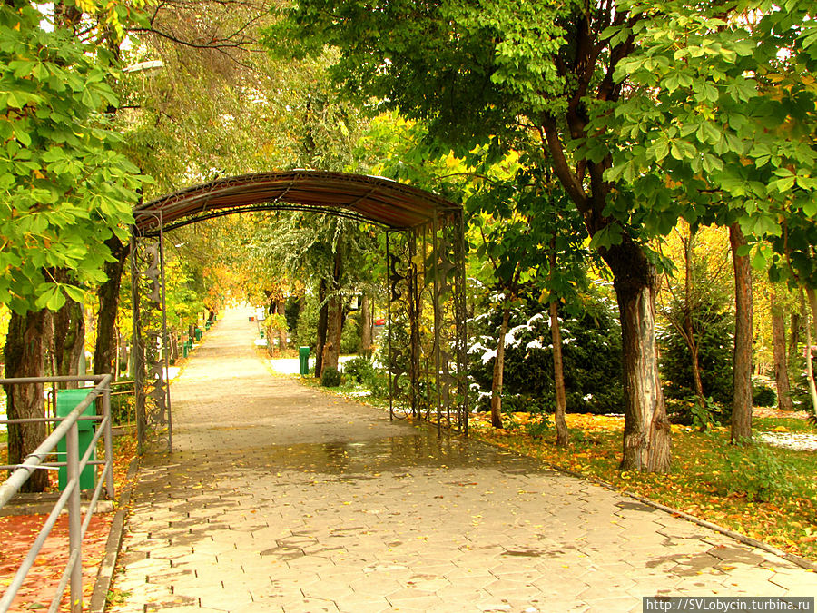 На горе Кок-Тобе На горе Кок-Тобе