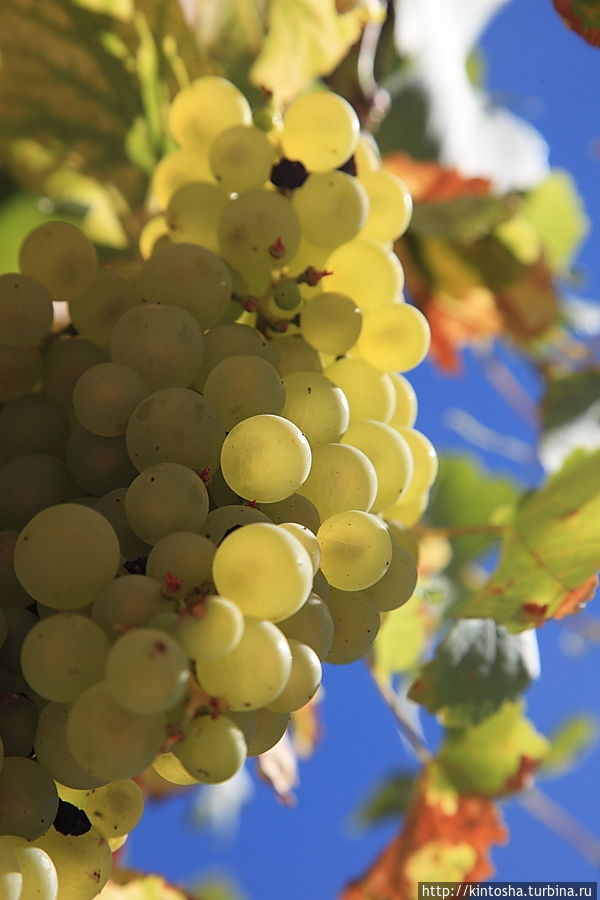 Бургундия. Мистика Средневековья Франция Бургундия. Мистика Средневековья Франция