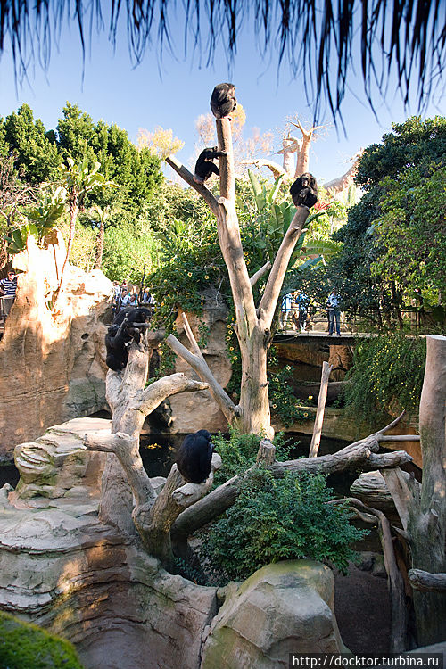 В Биопарке В Биопарке