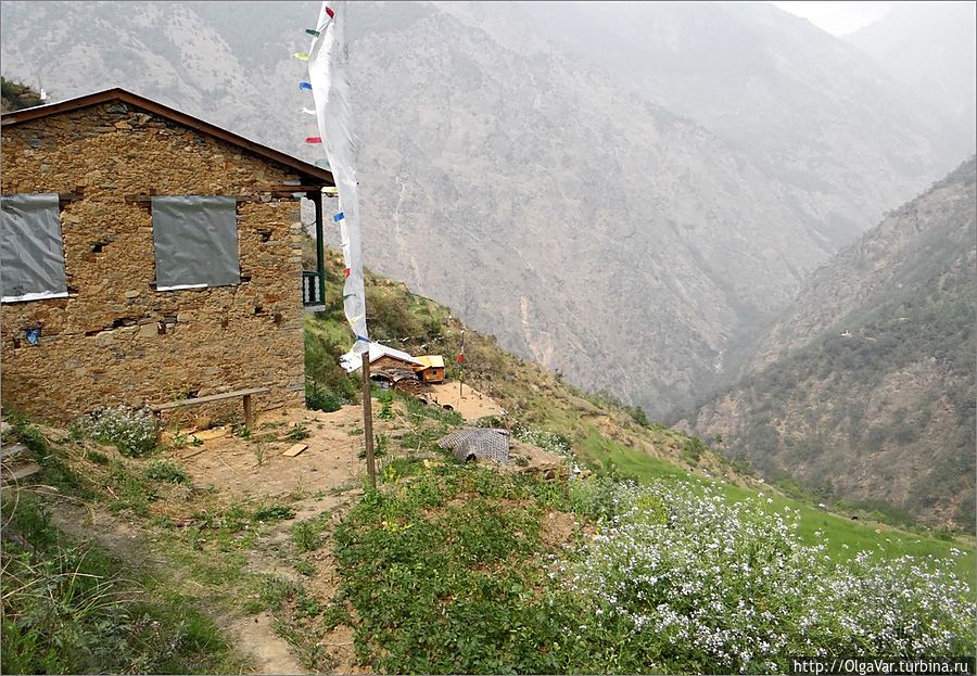 Деревенская идилия — цветочные склоны, домик и горы Лангтанг, Непал