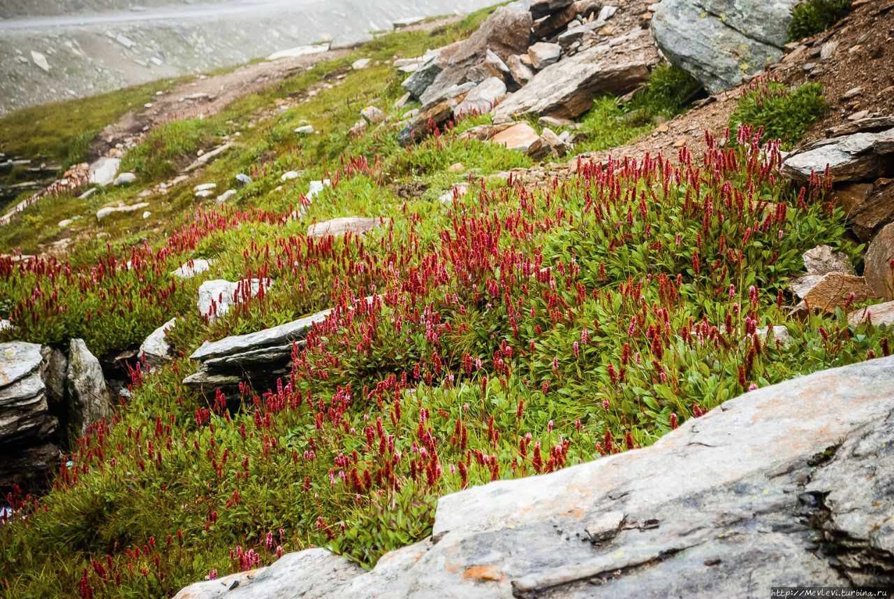 Перевал Ротанг ( 3978м ), Перевал Ротанг ( 3978м ),