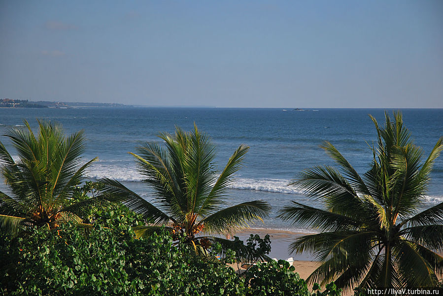 Вид из номера Берувала, Шри-Ланка