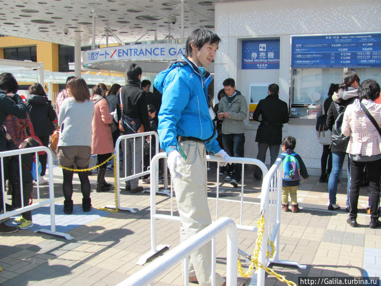 Перед Океанариумом. Перед Океанариумом.