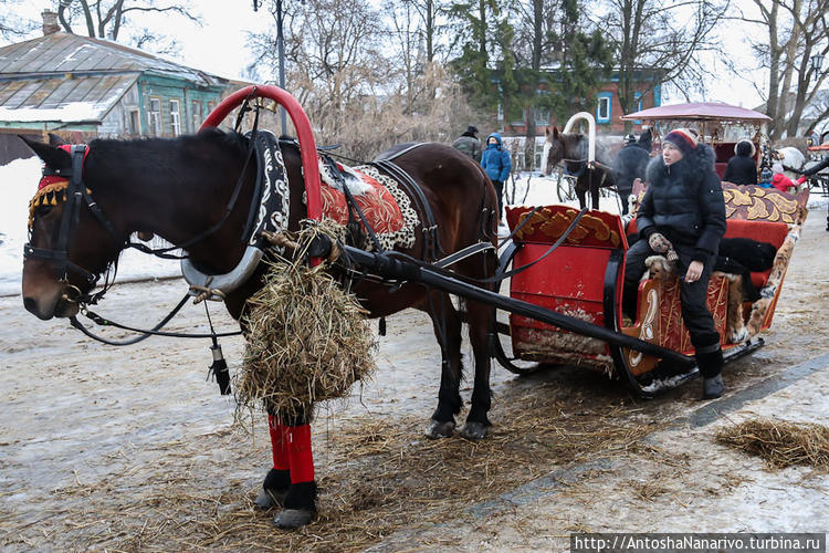 В Суздале очень много лош