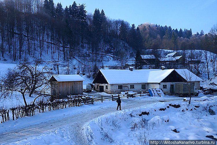 Косов Косов, Украина Косов Косов, Украина