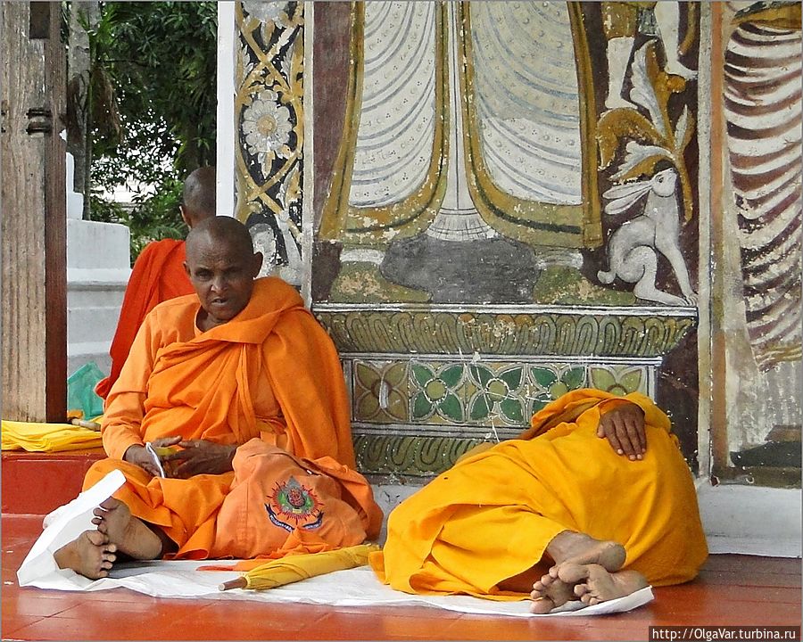 *Ланкийские монахи — они находятся в постоянном поиске истины Канди, Шри-Ланка