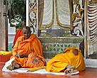 *Ланкийские монахи — они находятся в постоянном поиске истины