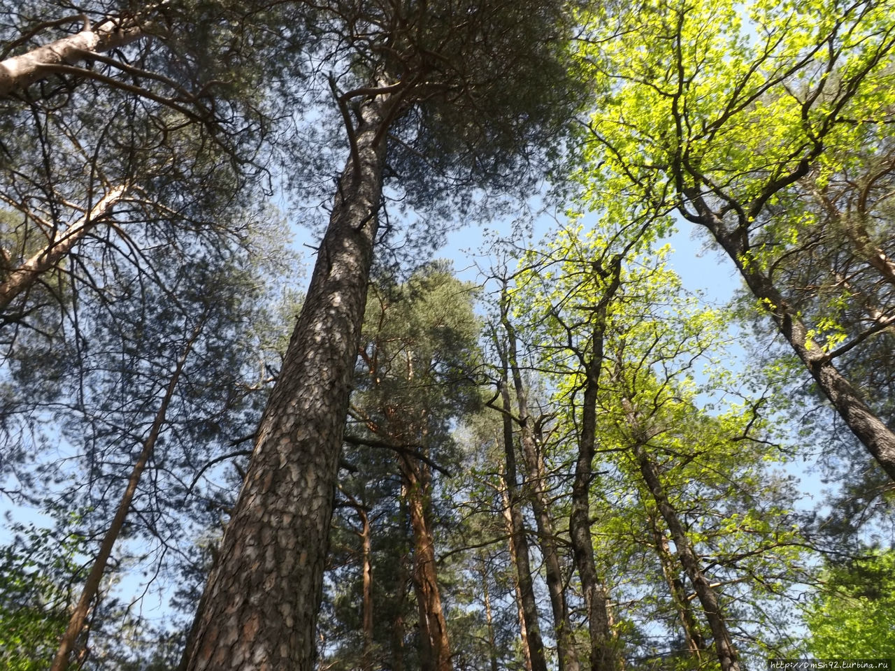 Гора Трезубец Даховская, Россия