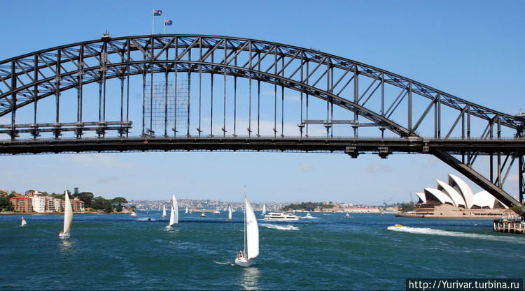 Harbor Bridge