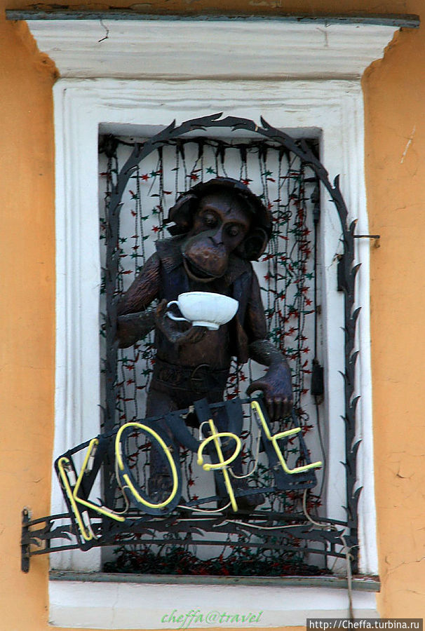 Кофе, наверно, из Бразилии  — там много диких обезьян. Нижний Новгород, Россия