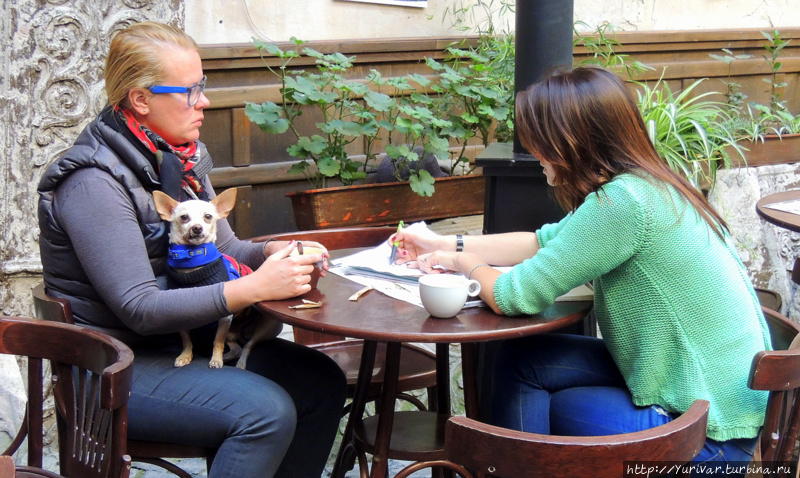 В кав’ярне можно сидеть и работать с одной чашкой кофе хоть целый день — никто вас не попросит Львов, Украина