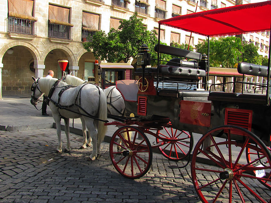 Конные экипажи к работе готовы и ждут туристов. Конные экипажи к работе готовы и ждут туристов.