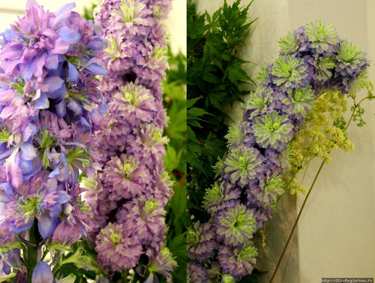 Питер, гроза и флоксы. Санкт-Петербург, Россия Питер, гроза и флоксы. Санкт-Петербург, Россия