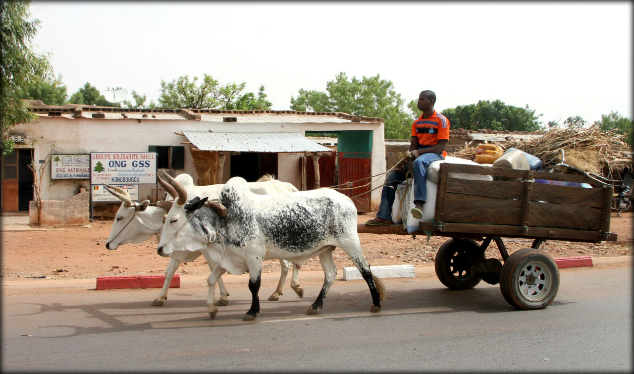 Дорожные зарисовки — Мали Конобугу, Мали
