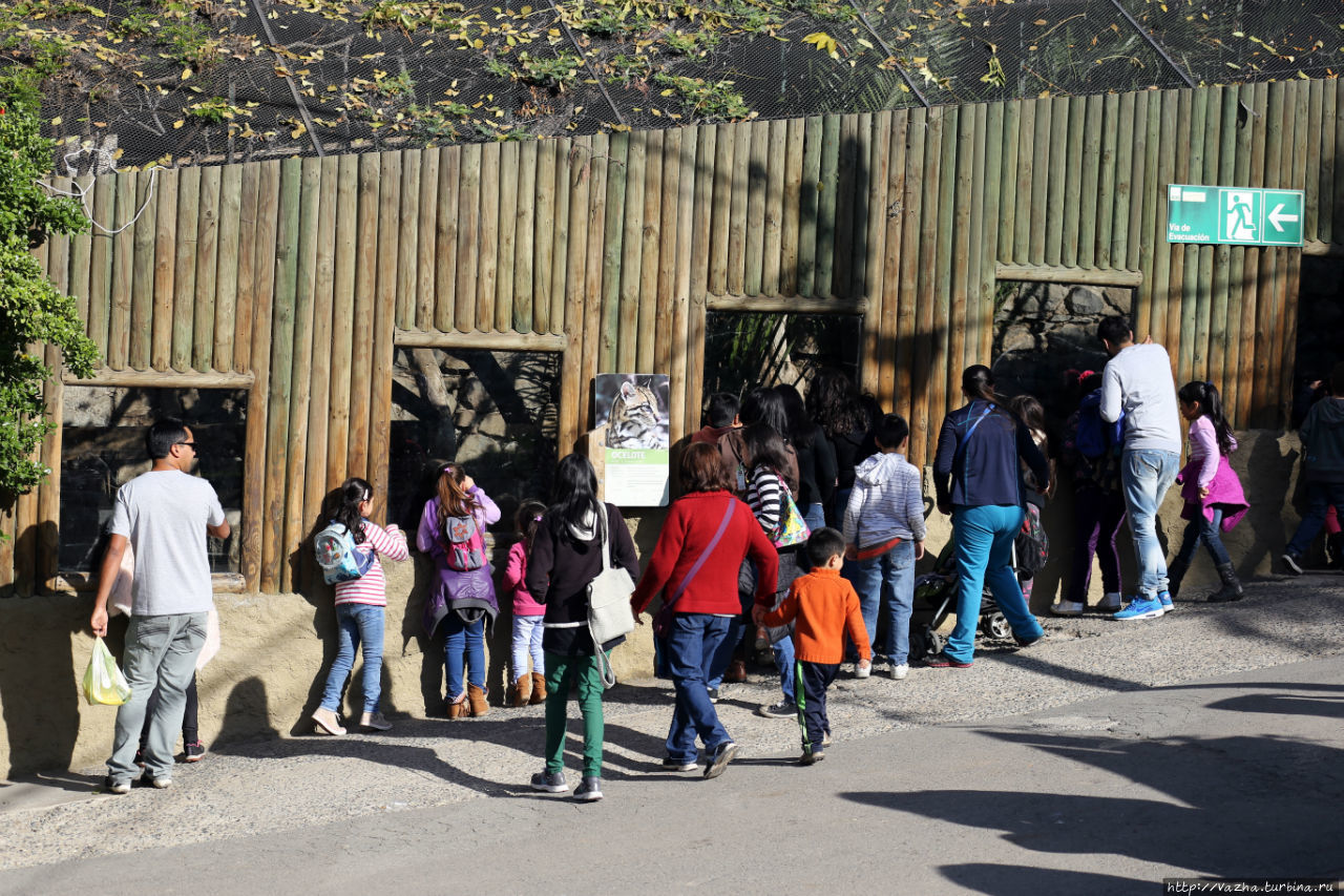 Зоопарк в Сантьяго. Третья часть Сантьяго, Чили