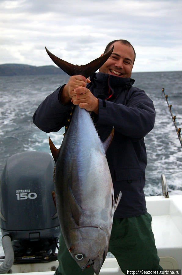 Азорские острова — Спортивная рыбалка &  Джип-тур / Азорские острова — Спортивная рыбалка &  Джип-тур
