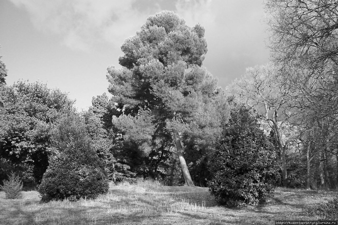 Парк Массандры (снимок 20 Парк Массандры (снимок 20