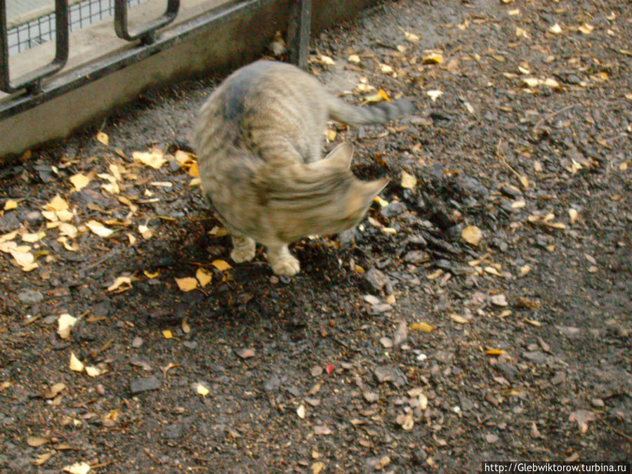 Прогулка в район Жолибож Варшава, Польша Прогулка в район Жолибож Варшава, Польша