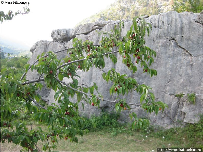 Романтика Албанских Альп Албания Романтика Албанских Альп Албания