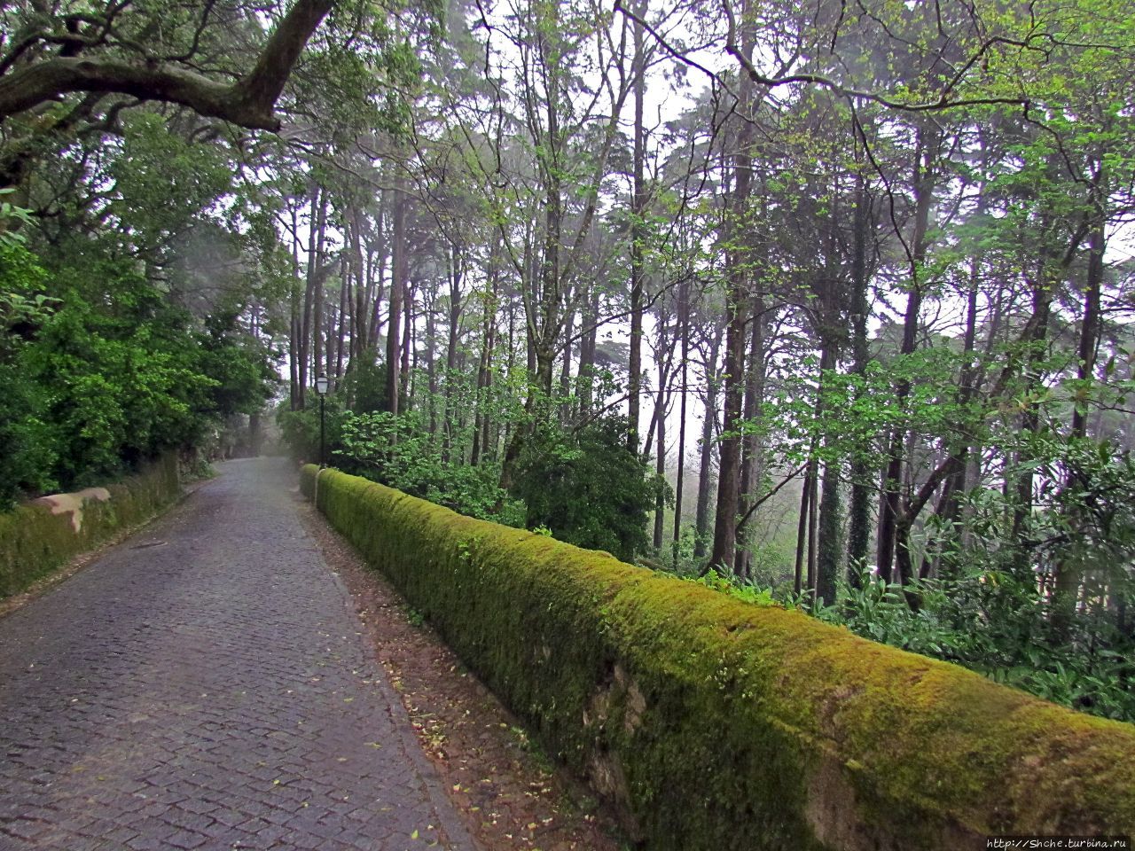 Парк Дворца Пена Синтра-Кашкайш Природный Парк, Португалия