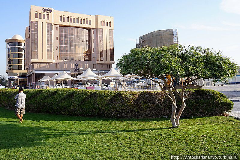 Зубчики, выстреженные на кустах. Зубчики, выстреженные на кустах.