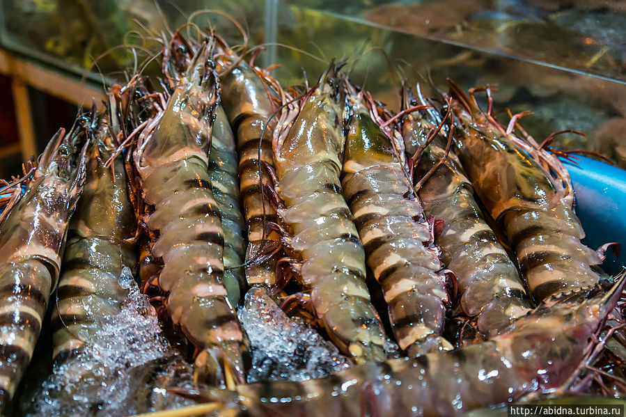 Ночной рынок, или Кому морепродукты недорого Остров Фу Куок, Вьетнам
